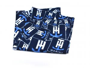 TH Marine Face Shield